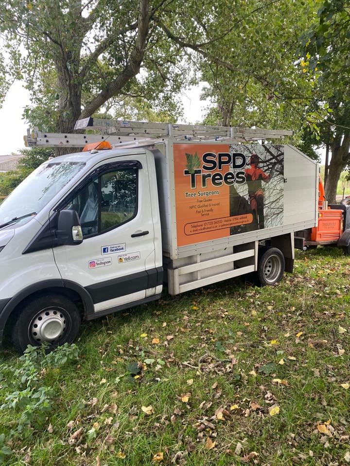 SPD Trees Van