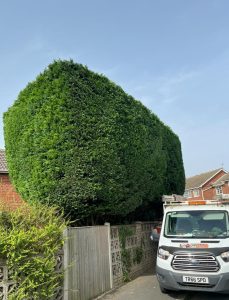 On site Scarborough van